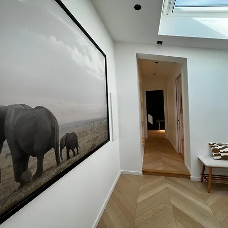 Rooftop Unique Vue / Vieil Apartment *